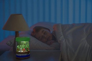 Light-Up Terrarium Kit...